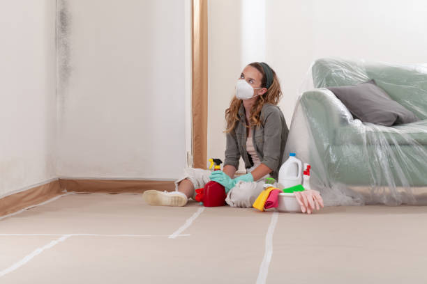 Reliable Black Mold Removal contractor in Baltimore, MD by WQB Mold Removal